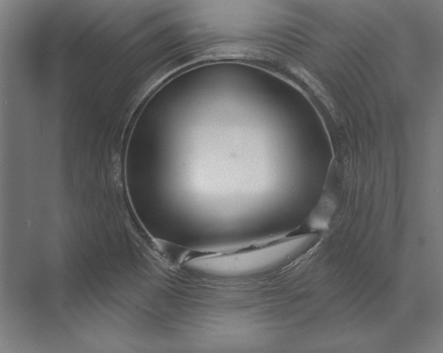 X0000073711465200608241430