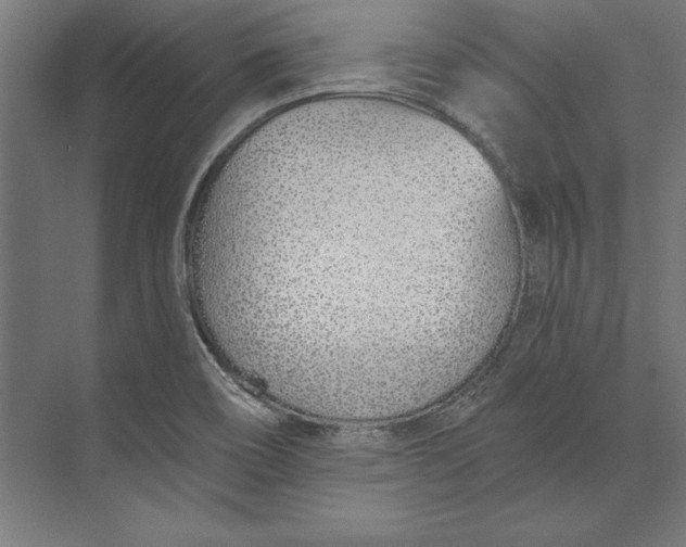 X0000073711466200608241430