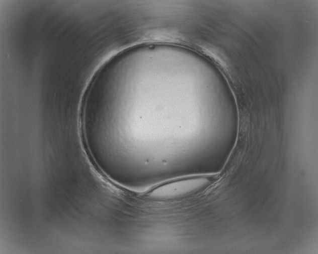 X0000073711471200608241430