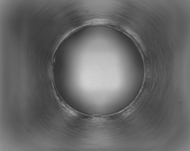 X0000073711473200608241430