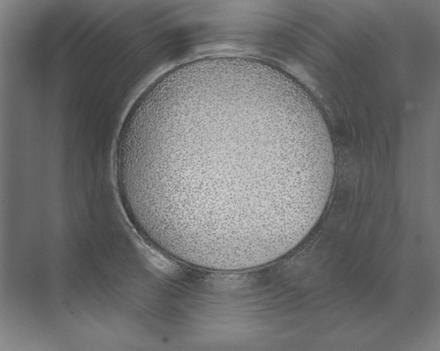 X0000073711474200608241430