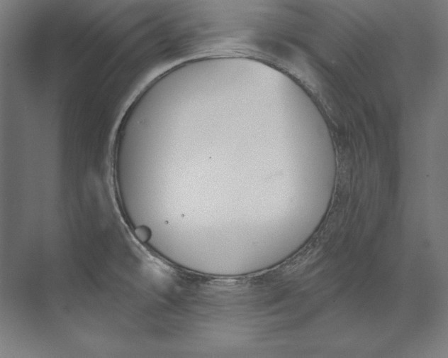 X0000073711478200608241430