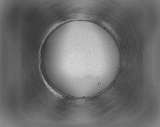 X0000073711479200608241430