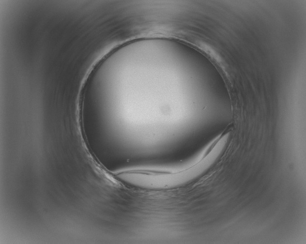 X0000073711480200608241430