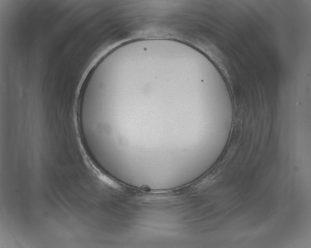 X0000073711486200608241430