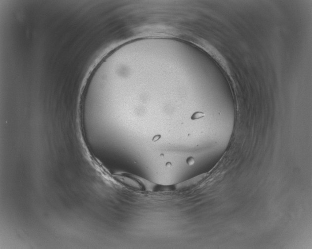 X0000073711488200608241430