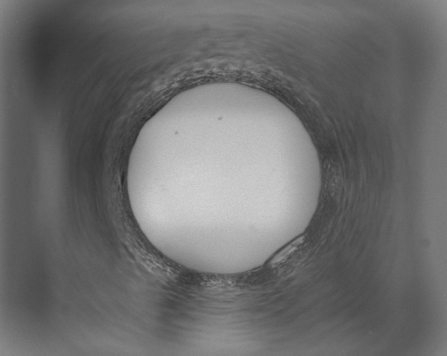 X0000073711489200608241429