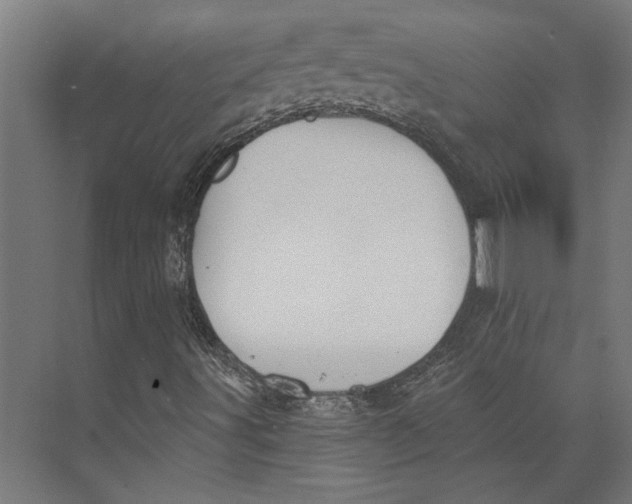 X0000073711491200608241429