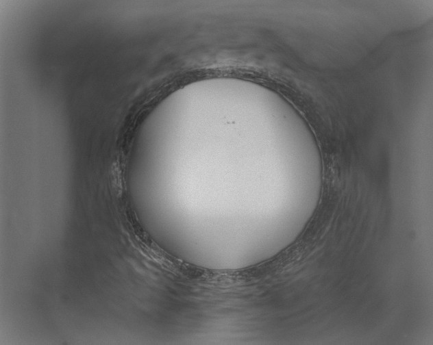 X0000073711493200608241429