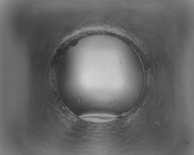 X0000073711494200608241429