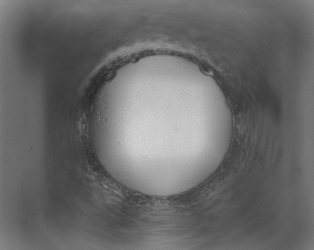 X0000073711495200608241429