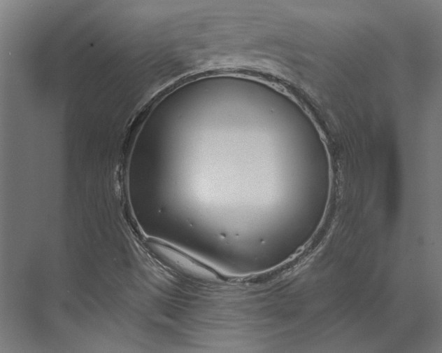 X0000073711497200608241429