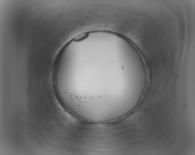 X0000073711500200608241429