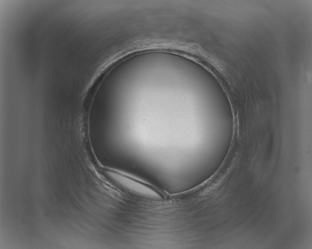 X0000073711501200608241429