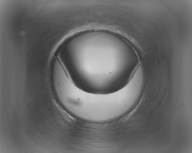 X0000073711502200608241429