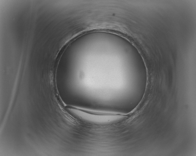 X0000073711505200608241429