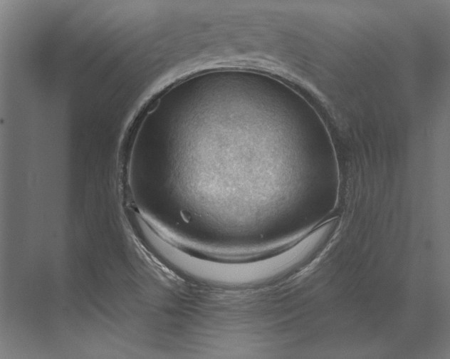 X0000073711506200608241429