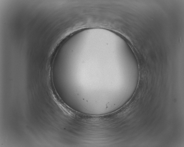 X0000073711507200608241429