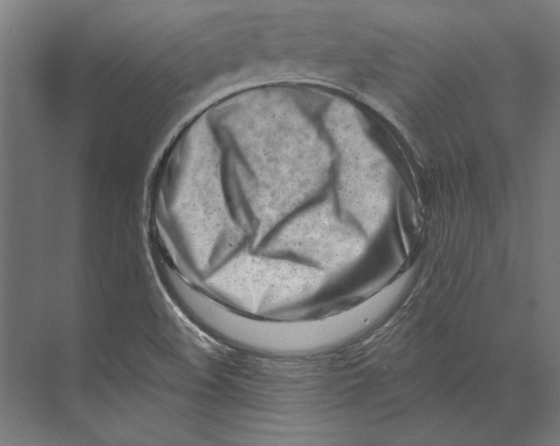 X0000073711508200608241429