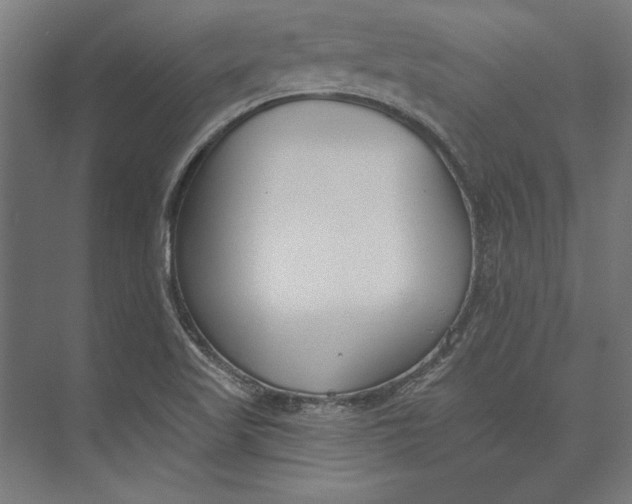 X0000073711509200608241429