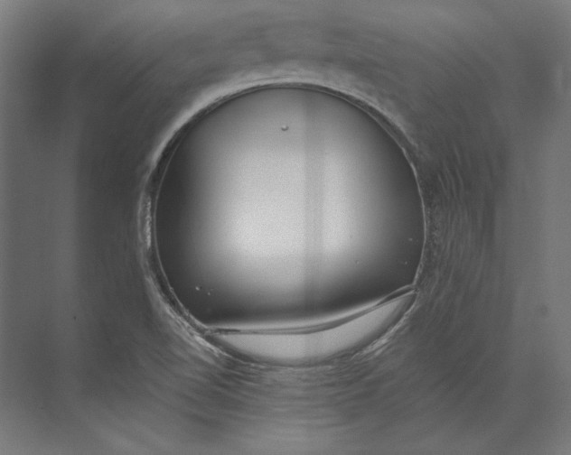 X0000073711510200608241429