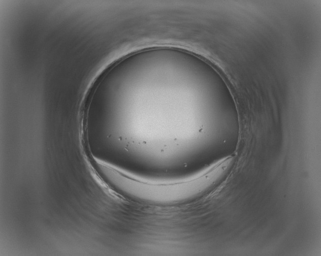 X0000073711511200608241429