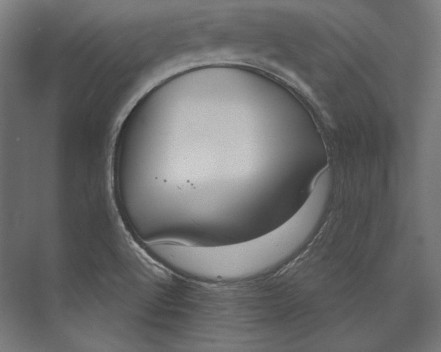 X0000073711512200608241429