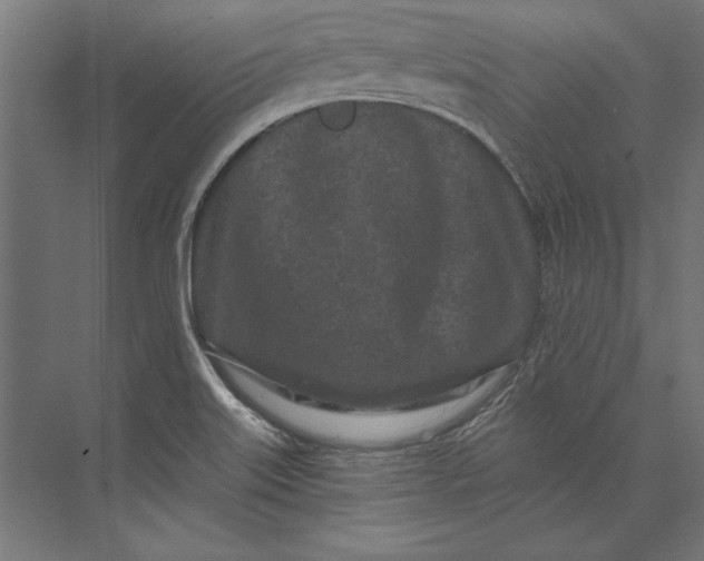 X0000073711515200608241430