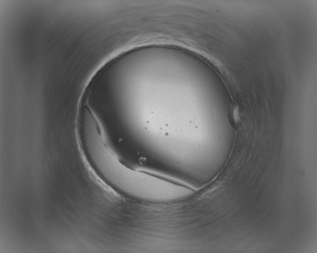 X0000073711518200608241430