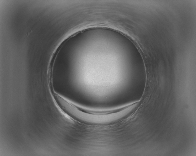 X0000073711519200608241430