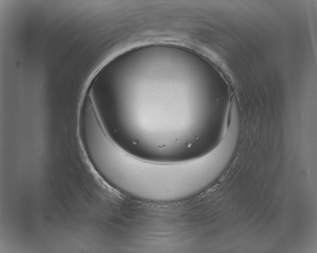 X0000073711520200608241430