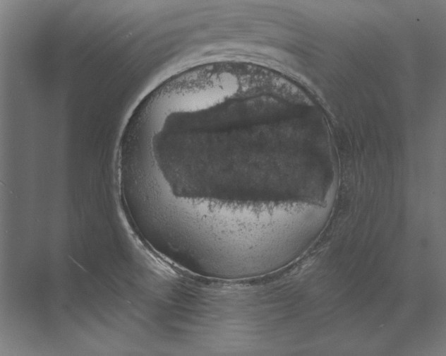 X0000073711522200608241430