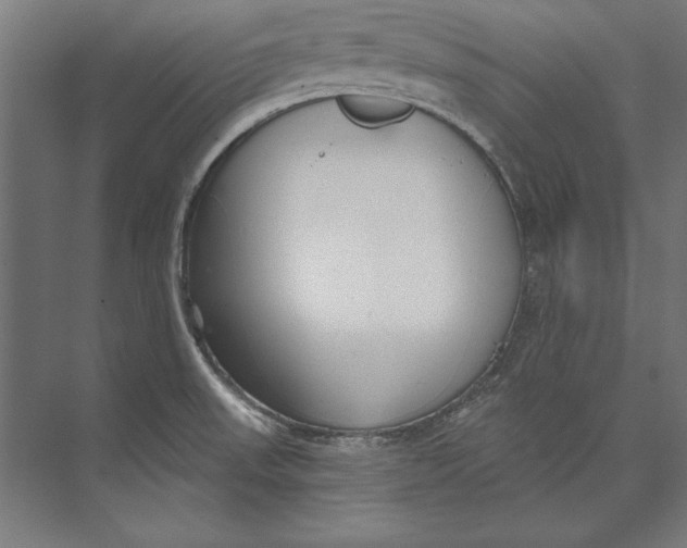 X0000073711523200608241430