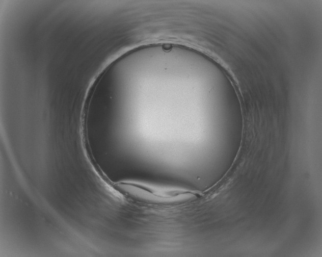 X0000073711525200608241430