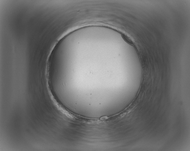 X0000073711526200608241430