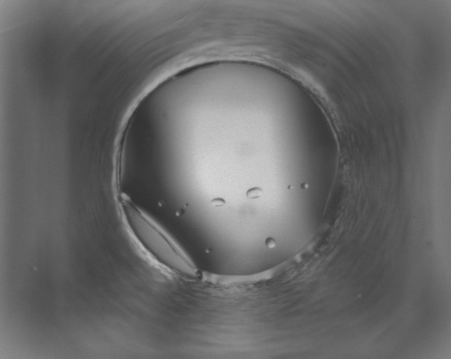 X0000073711528200608241430