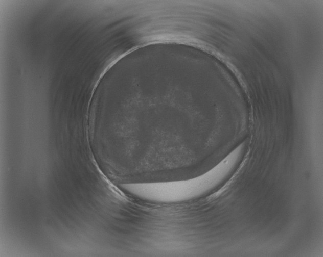 X0000073711529200608241430