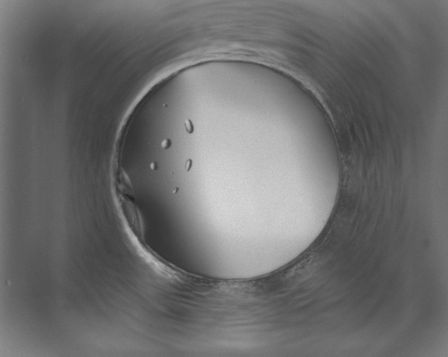 X0000073711531200608241430