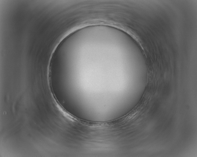 X0000073711535200608241430