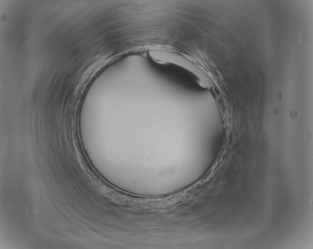 X0000073710001200608311806