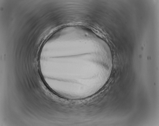 X0000073710002200608311806