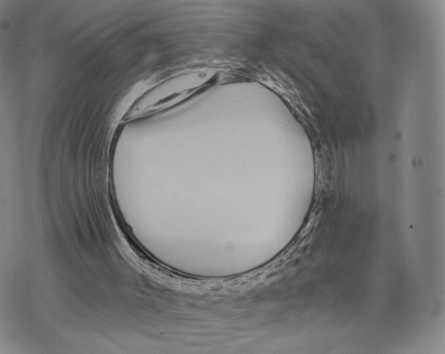 X0000073710003200608311806