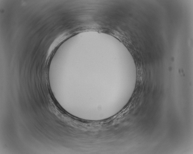 X0000073710004200608311806