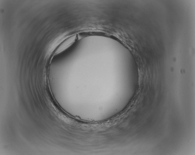 X0000073710005200608311806