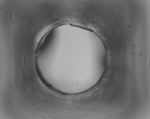 X0000073710007200608311806