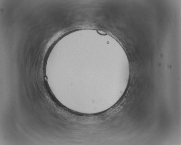 X0000073710008200608311806