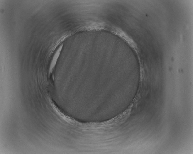 X0000073710009200608311806