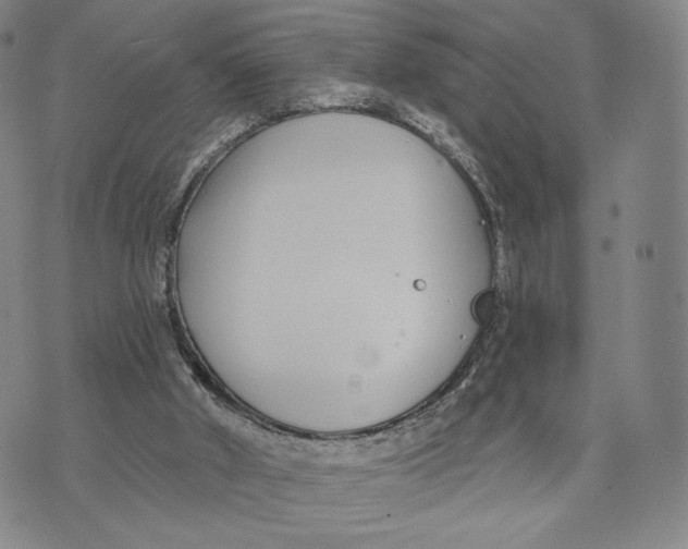 X0000073710010200608311806