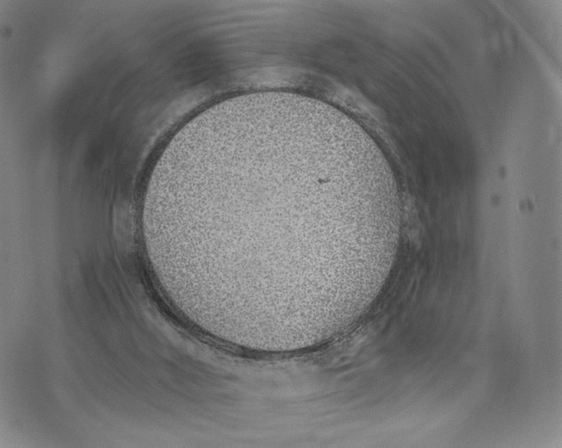 X0000073710012200608311806