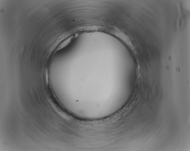 X0000073710013200608311806